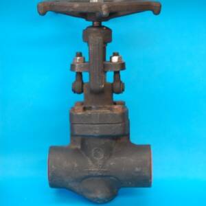 VALVULA GLOBO CLASE 800